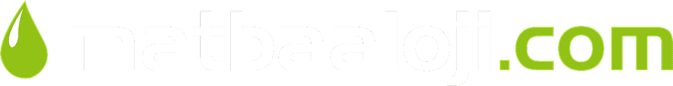 logo footer