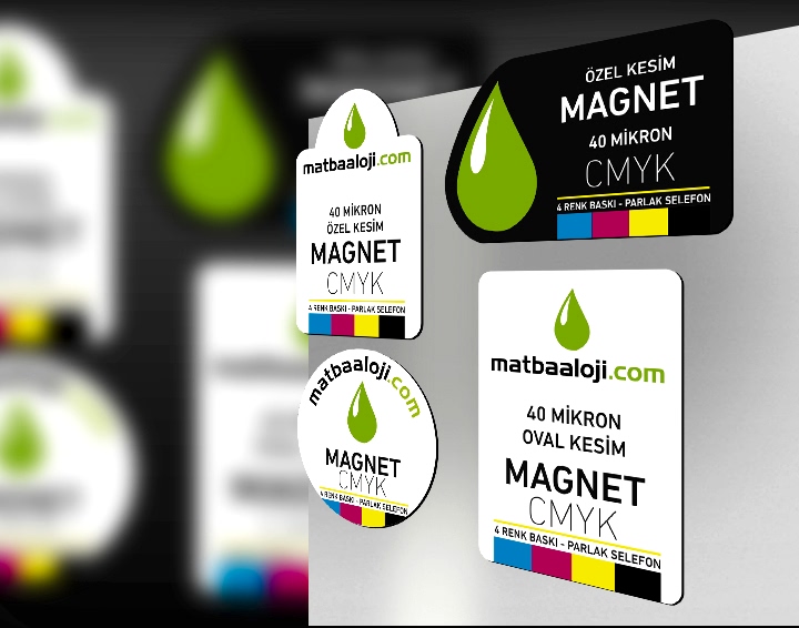 Magnet